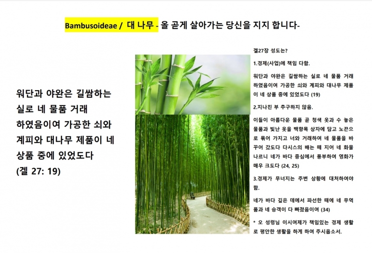 대나무 (Bamboo) *번역